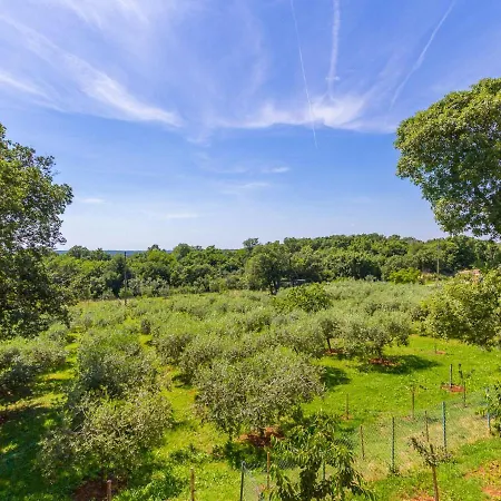 Peaceful In Pula With Swimming Pool Valtura